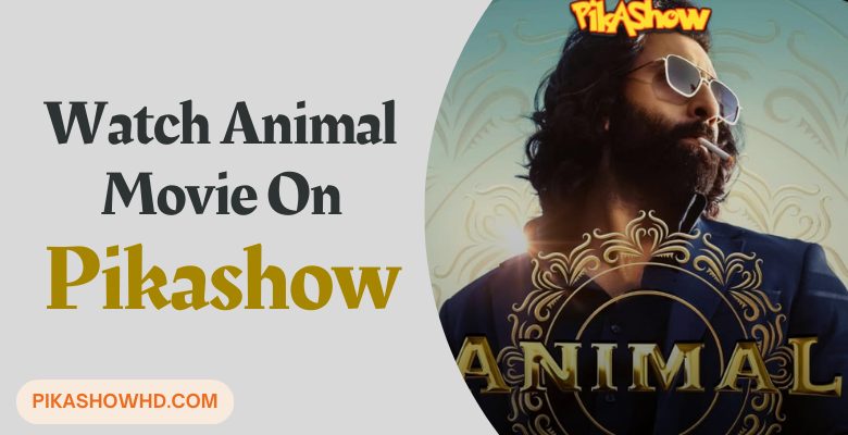 Animal Movie on Pikashow