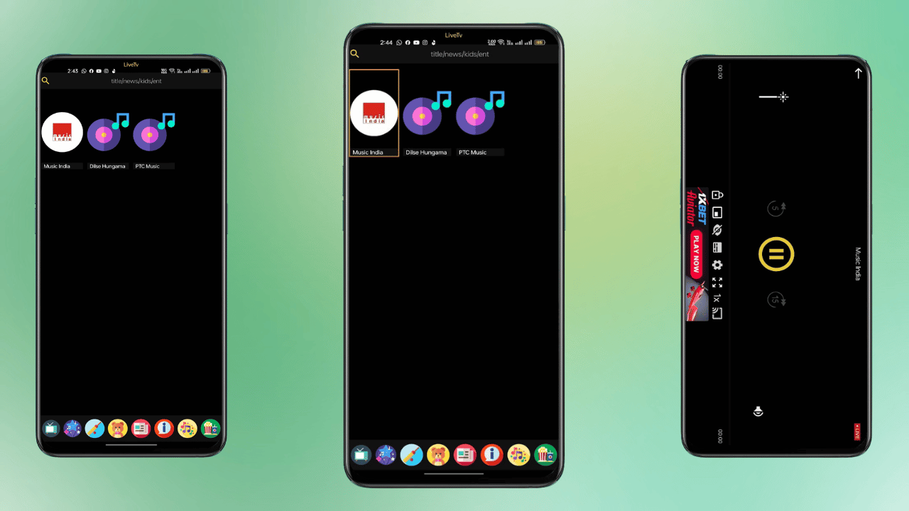 Music Platforms in PikaShow